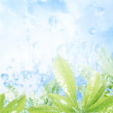 病気平癒大祈祷