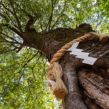 先祖供養・祖霊祭祀