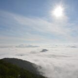 オンライン参拝